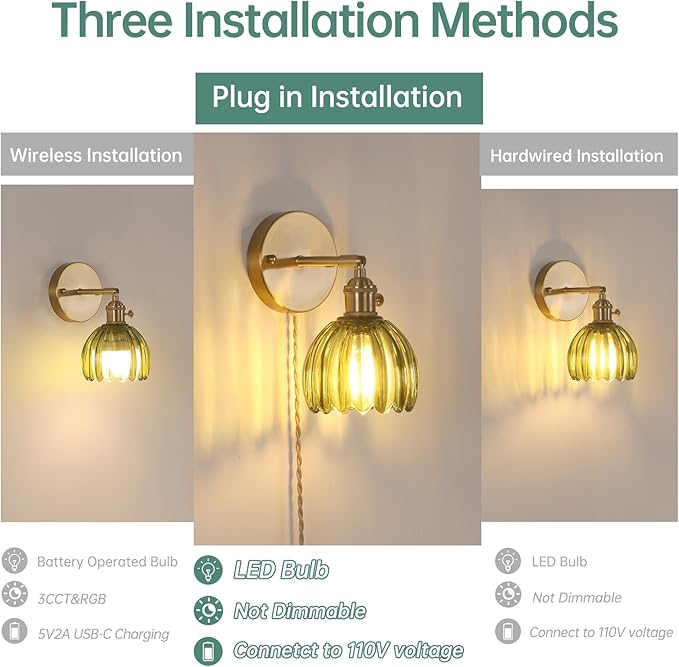 Shenmoyl Plug in Wall Sconce