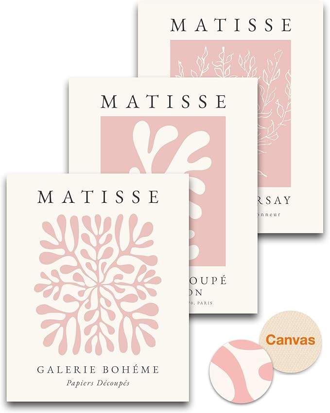 HesenDot Unframed Pink Wall Art Set of 3, 12x16in Matisse Canvas Prints