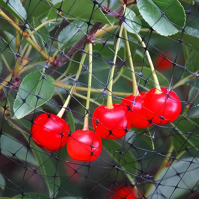 Bird Netting 7x100 FT – 3/4" Mesh Garden Netting for Plant Protection, Deer Fence Netting Against Birds, Squirrels, Rabbits, Raccoons & More – Protect Fruit Trees, Vegetables & Flowers