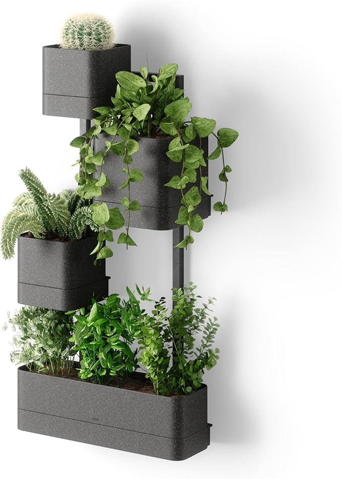Umbra Cubiko Wall Planter with 4 Lightweight and Durable Pots