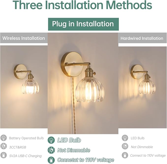 Shenmoyl Plug in Wall Sconce, Transparent Tulip Glass Lampshade Wall Light