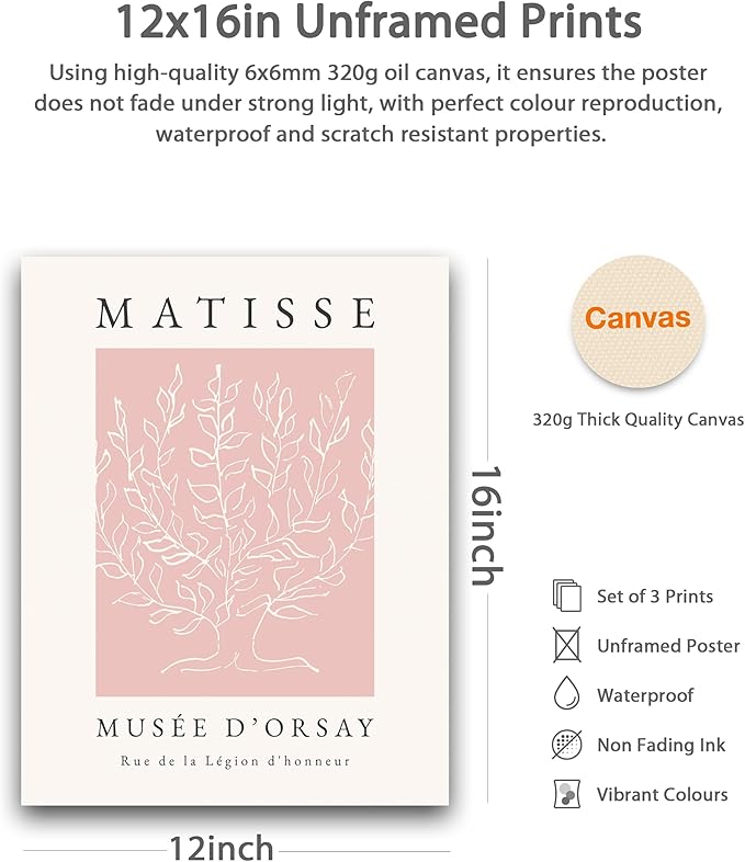 HesenDot Unframed Pink Wall Art Set of 3, 12x16in Matisse Canvas Prints
