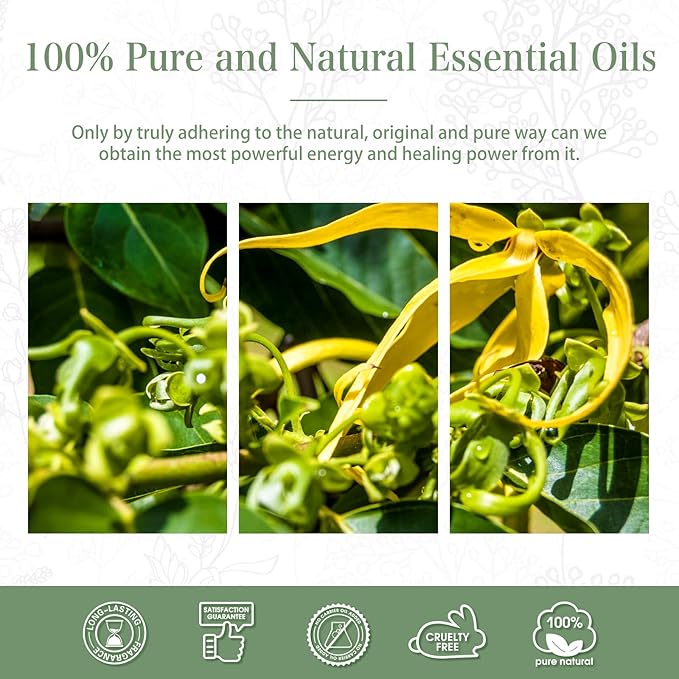 Ylang Ylang Essential Oil 1.01fl.oz/30ml, PHATOIL Premium Ylang Ylang Oils Long Lasting Scents for Aromatherapy, Diffuser, DIY Soap and Candle Making