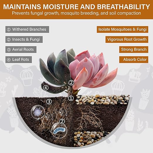 NUPICK 6lb River Rocks for Plants Indoor, 3/8 Inch Mixed Pebbles for Vase Fillers, Decorative Pea Gravel for Fish Tank, Natural Polished Stones for Succulent, Bonsai, Landscaping, Bird Baths