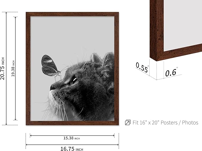 Poster Master Butterfly on Cat Print