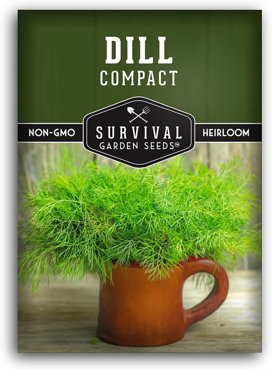 Compact Dill Seeds for Planting â Dwarf Dill for Containers & Small-Space Gardens â High Germination Heirloom Non-GMO Herb for Indoor or Outdoor Growing â Survival Garden Seeds (1 Pack)