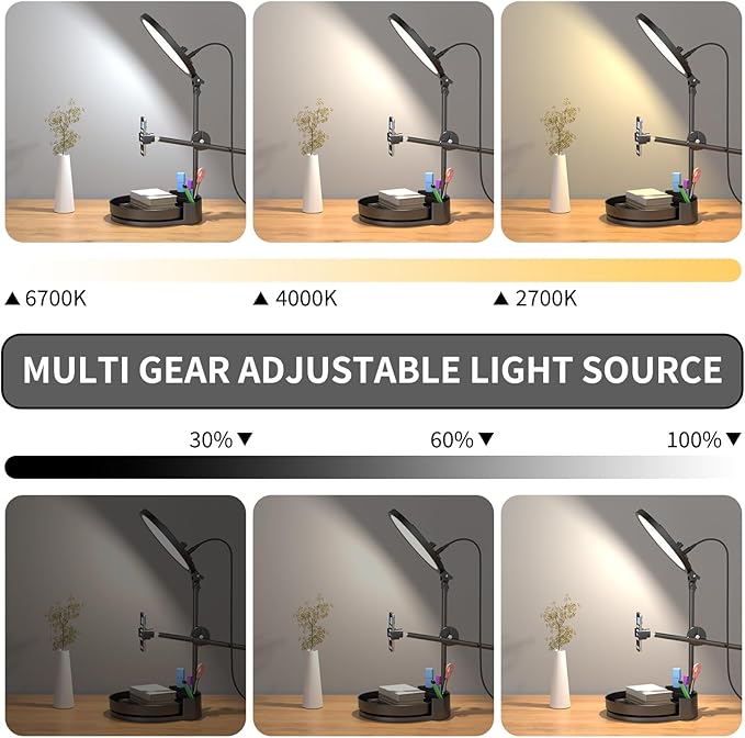 Selfie Light Kit for Desk and Laptop,55W Dimmable Full Screen Ring Light,with Rotating Storage Box,Pen Holder Stand,Phone Holder and Controller (White, 10.5)