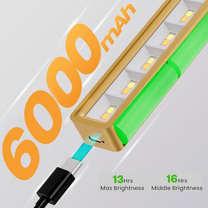 24 Inch Picture Light for Wall
