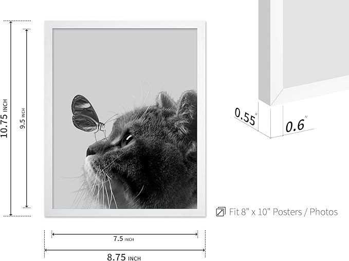 Poster Master Butterfly on Cat Print