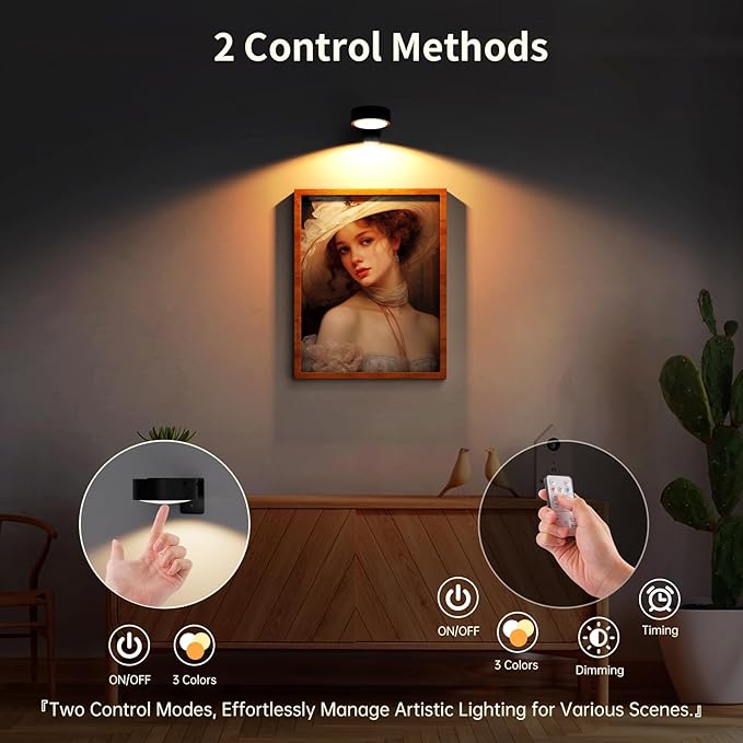 Narotood Picture Lights for Wall, Rechargeable Battery Magnetic Poster Lights