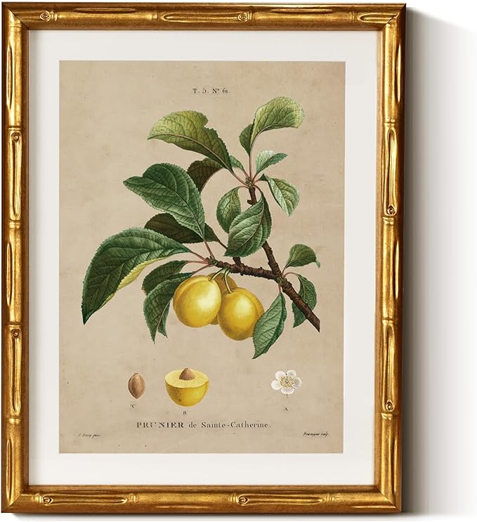 InSimSea Gold Bamboo Framed Canvas Wall Art, Retro Nature Plum Botanical