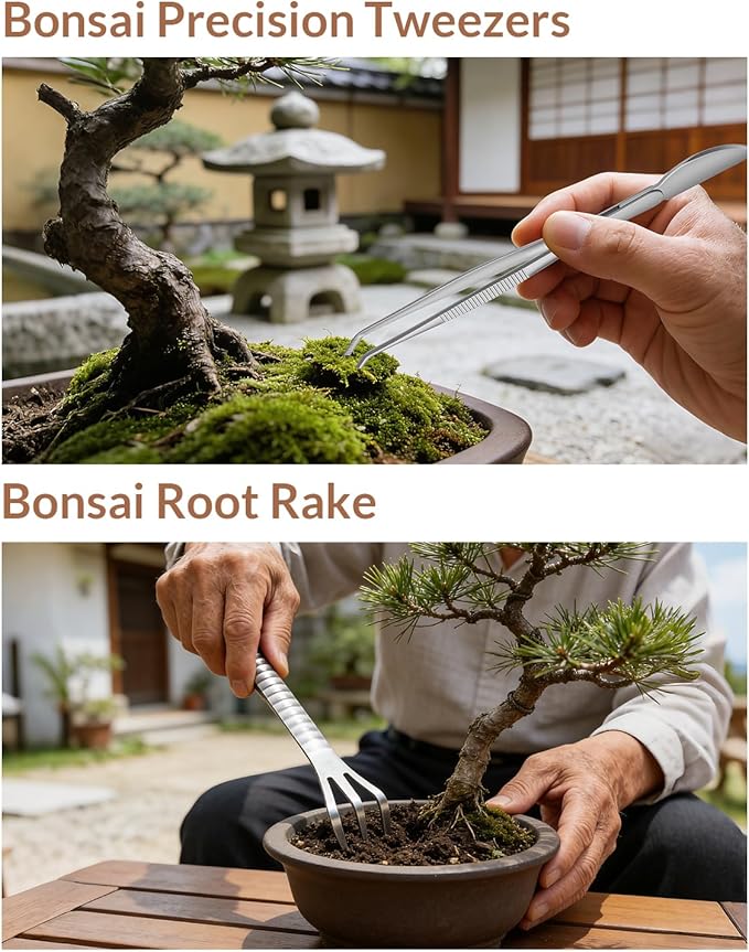 Bonsai Tool Set 6PCS with Wood Box– Concave Cutter, Knob Cutter, Pruning Shears, Trunk Splitter, Root Rake & Precision Tweezers – Professional Stainless Steel Bonsai Tools for Pruning & Repotting