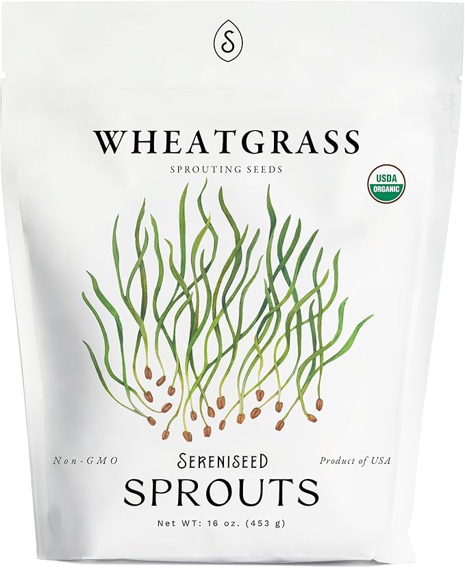 Organic Wheatgrass Seeds (16 oz) â Non-GMO, Heirloom Seeds for Sprouting and Microgreens