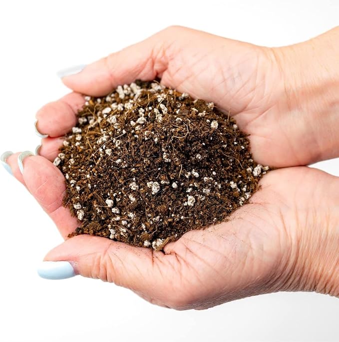 GARDENERA Premium Organic Potting Soil - 2 Quart - The Ideal Growing Medium for Delicious and Nutritious Homegrown Potatoes