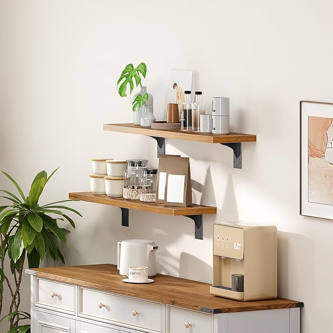 HOOBRO Floating Shelves for Wall, 23.6" Wall Mounted Shelves Set of 2, Hanging