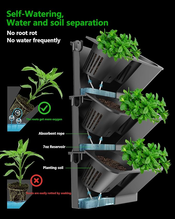 Wall Planters for Indoor Plants