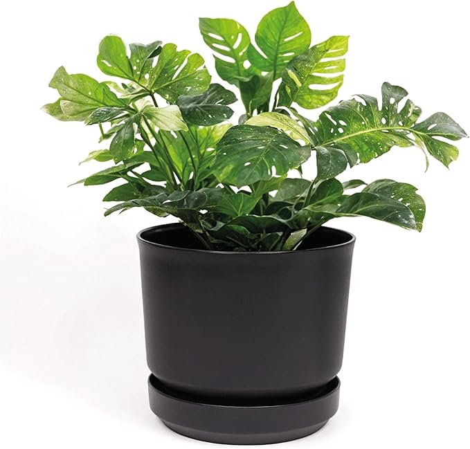 Elly DÃ©cor 8 inch Plastic Cylinder Planter Pot with Self-Watering Saucer and Drainage Hole,Lightweight & Extremely Durable, 8"x 8", Black