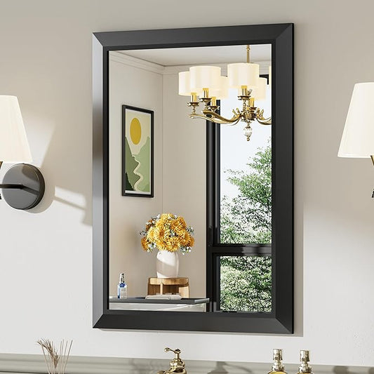 Briivue 22x30 Inch Black Bathroom Mirror