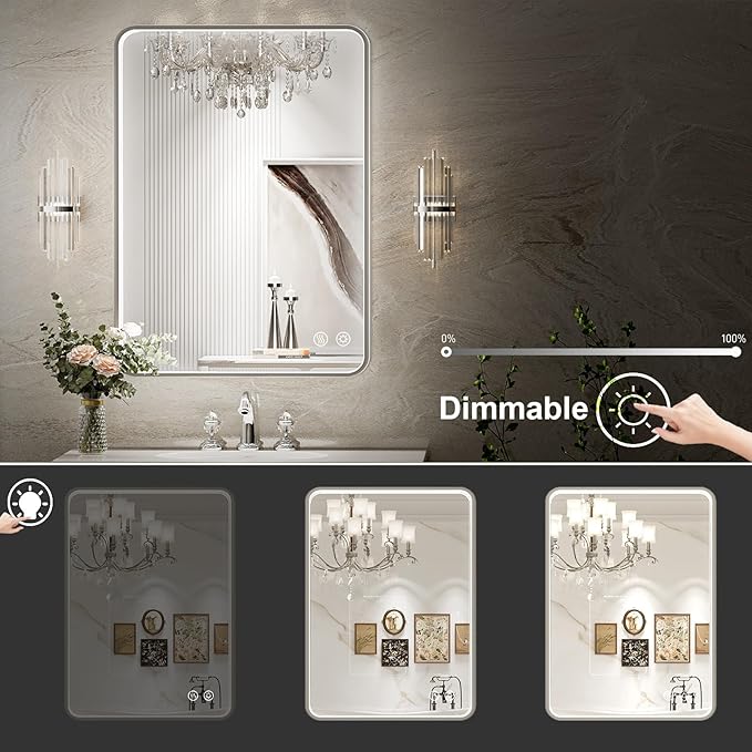 LED Bathroom Mirror with Lights, 20x28 Inch Brushed Silver Framed Lighted