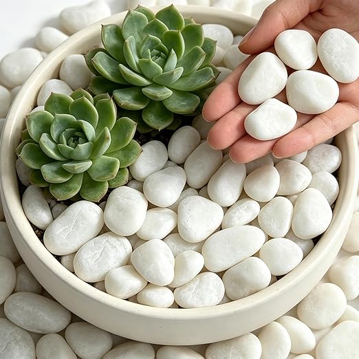 12 lbs White Rocks for Landscaping, 1-2 Inch Pebbles for Plants, Natural River Stones for Backyard, Flower Beds, Fish Tank, Vases, and Patio Decor