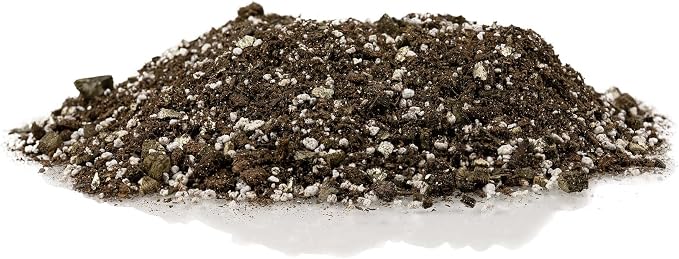 Premium African Violets and Gesneriad Premium Soil Mix by Gardenera - 10 Quart - Horticultural Perlite, Vermiculite, Sphagnum Peat Moss - Made in USA - (2 Bags of 5QT)