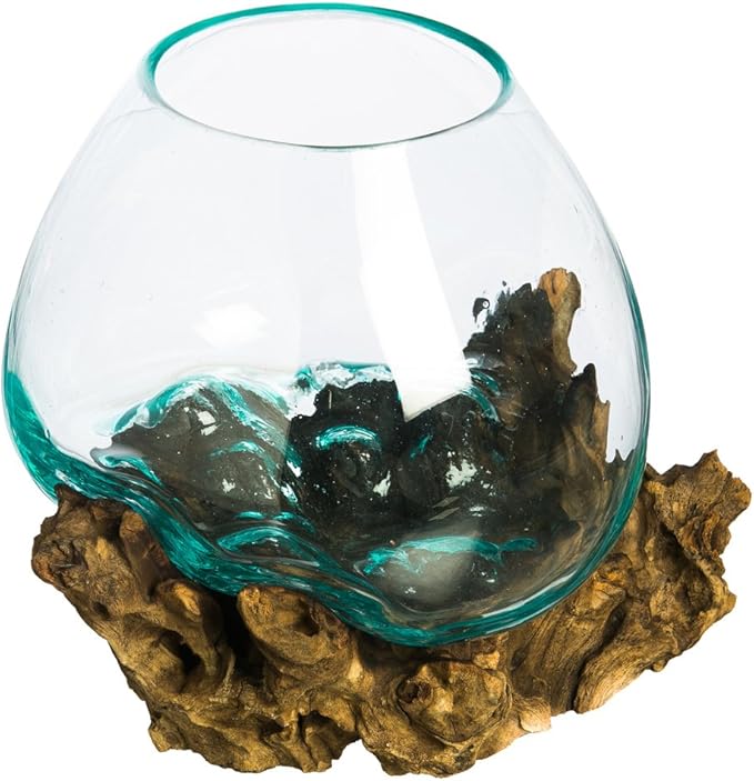 Cape Craftsmen 10" H Hand-Blown Blue Tinted Bubble Glass On Natural Teak Driftwood Terrarium | Home DÃ©cor Indoor Planter with Stand | Pot for Succulent and Plants