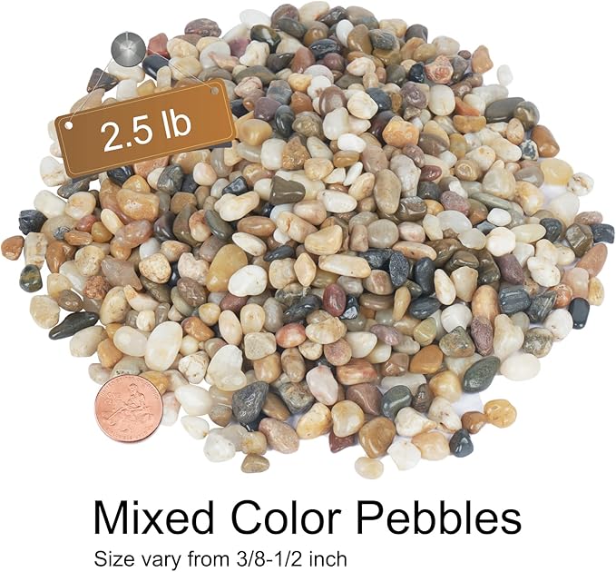 GASPRO 2.5 lb Decorative Pebbles for Plants, 3/8 Inch Mixed Color Rocks, Small Stones for Indoor Planters, Succulents & Vase Filler, Pea Gravel for Aquariums