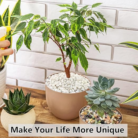 YISZM 2LB Succulent and Cactus Black Pebbles, 3/8 Inch Natural Decorative Polished Stones, River Rocks for Indoor Plants, Vases, Planters and Outdoor Gardening