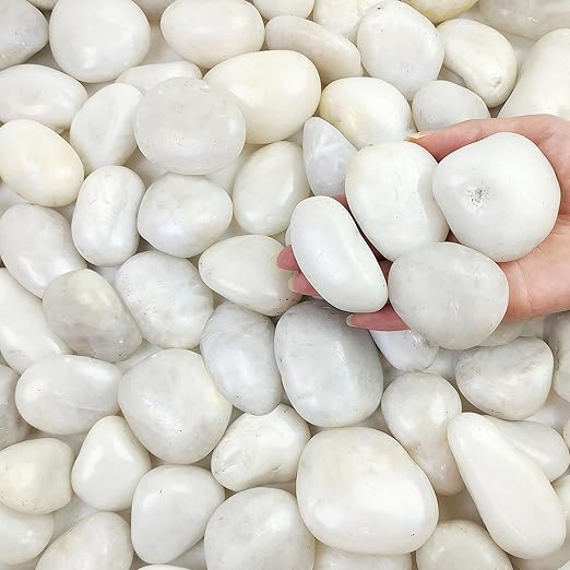 FANTIAN 20 lbs White River Rocks for Landscaping, 2-3 inch Large Pebbles for Plants, Decorative Stones for Planters Vase Aquarium and Outdoor Garden Rocks