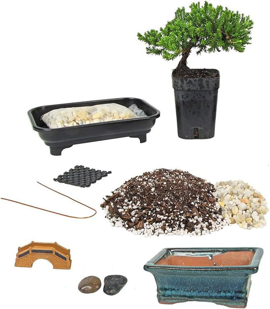 Eve's Deluxe Bonsai Tree Starter Kit, Complete Do-It-Yourself Kit with 4 Year Old Japanese Juniper !!! Cannot Ship to CA California & HI Hawaii !!!