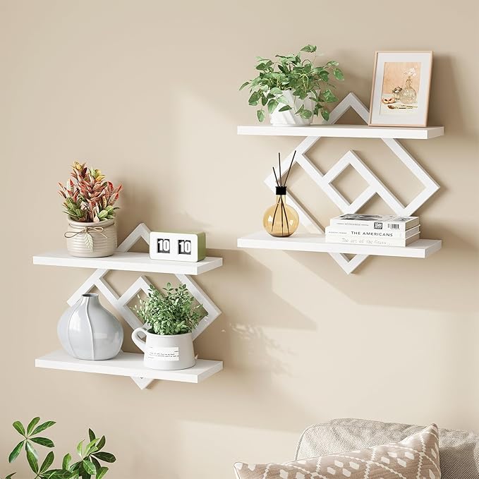 ELYKEN Floating Shelves for Wall, 2-Tier Wall Mounted Storage Shelves for Books