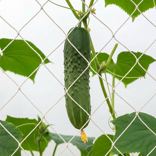 1 Piece White Jute Net Plant Support Netting 6.6 x 8 ft Heavy Duty Garden Plant Trellis Netting for Climbing Outdoor Indoor Grow Net for Cucumber Vine Tomatoes Peas Flower Fruits Vegetables