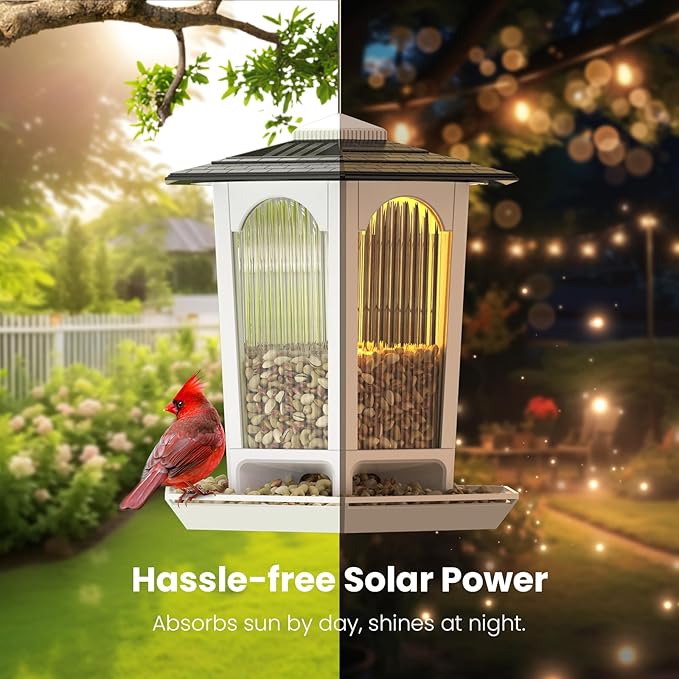 2 Pack Solar Bird Feeders for Outdoors Hanging - Attract Wild Birds & Cardinals, Elegant Minimalist Design, Garden Décor, Unique Gift