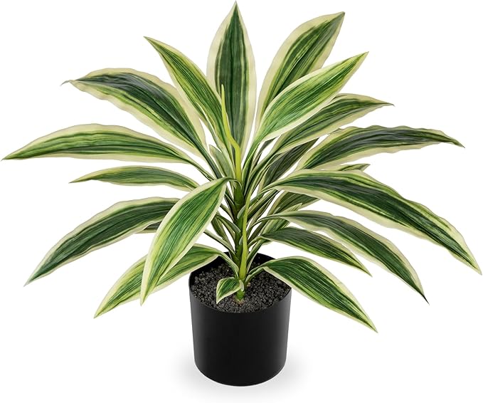 Artificial Plants Indoor with Pot, 18" Fake Potted Plants Medium Artificial Dracaena Plant in Black Pot Faux Tropical Plants for Bathroom Living Room Office Desk Shelf Decor