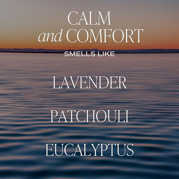 Sweet Water Decor Calm and Comfort Reed Diffuser Set | Lavender, Patchouli, Eucalyptus Spa Scented Diffusers | Air Freshener | Housewarming Gift | Aromatic Stress Relief