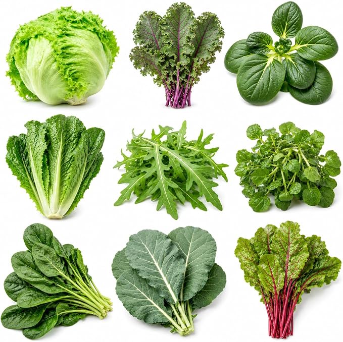 Salad Greens Variety Pack Seeds â 9 Heirloom Leafy Green Vegetable Seeds | Lettuce Kale Spinach Arugula Collards Beet Greens Mustard Cress for Raised Beds Containers Garden
