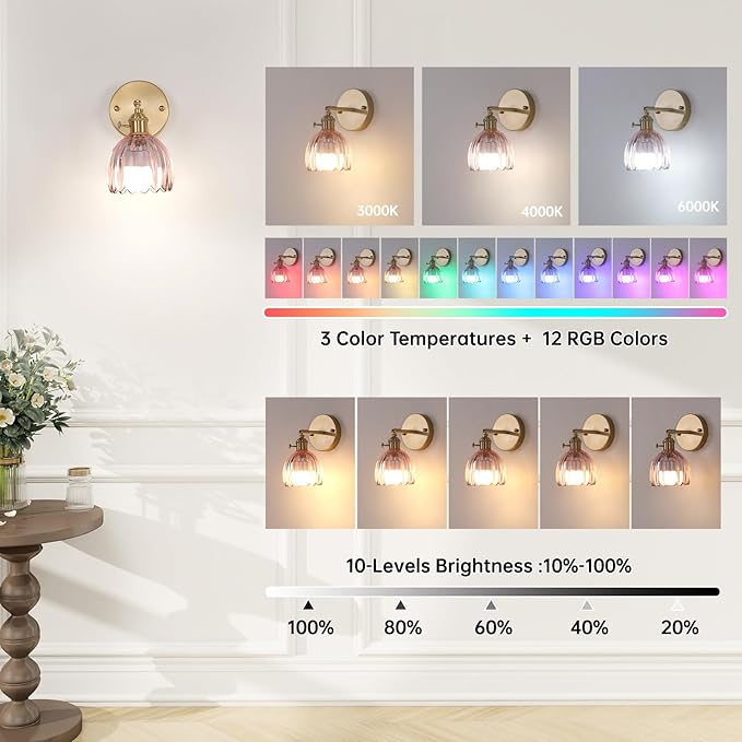 Shenmoyl Vintage 5000 mAh Battery Operated Wall Sconce