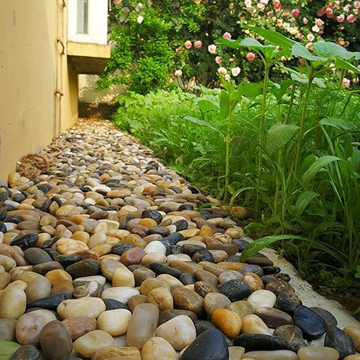 YISZM 5lbs Pebbles for Indoor Plants, 2-3 Inch Mixed Color High Polished Large River Rocks Outdoor Decorative Stones Vase Filler Fish Tank Aquariums Landscaping Garden Outdoor and Indoor DIY