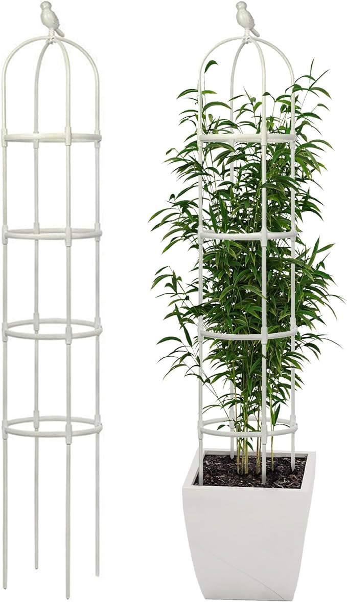 Garden Trellis for Climbing Plants, Rustproof Metal Pipe with Heavy Duty 6ft, Garden Outdoor Indoor Potted Plant Supportï¼Whiteï¼