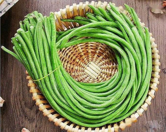 Bean Seeds for Planting Vegetables and Fruits.Pole Beans,Bush Beans,Romano Beans.Non GMO Garden Seeds for Home Vegetable Garden(6g,30+) Yardlong Pole Bean Seeds for Planting,Yard Long Asparagus Beanè±è±