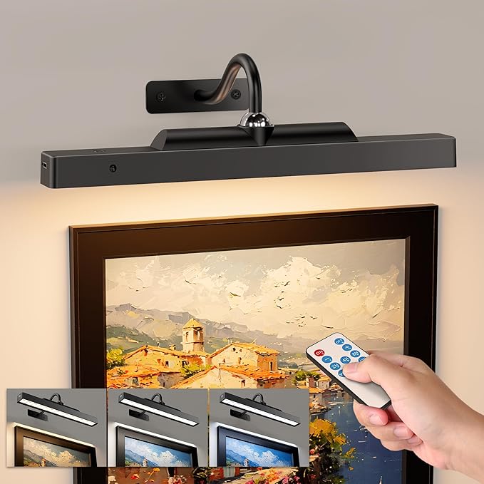 Picture Light for Wall, Dimmable LED
