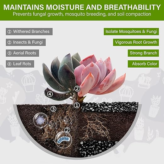 NUPICK 6lb River Rocks for Plants Indoor, 3/8 Inch Black Pebbles for Vases Fillers, Decorative Pea Gravel for Fish Tank, Natural Polished Stones for Succulent, Bonsai, Landscaping, Bird Baths