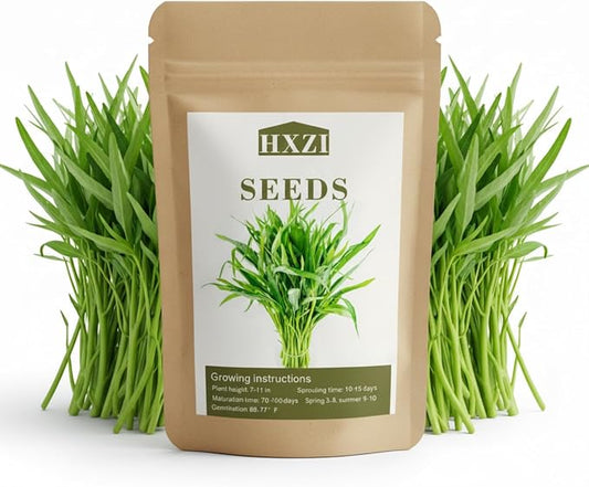 1000 Kangkong Seeds for Planting â Rau Muong Seeds Vietnam Variety â Kong Xin CAI Ong Choy Asian Vegetable for Filipino & Vietnamese Garden Growing