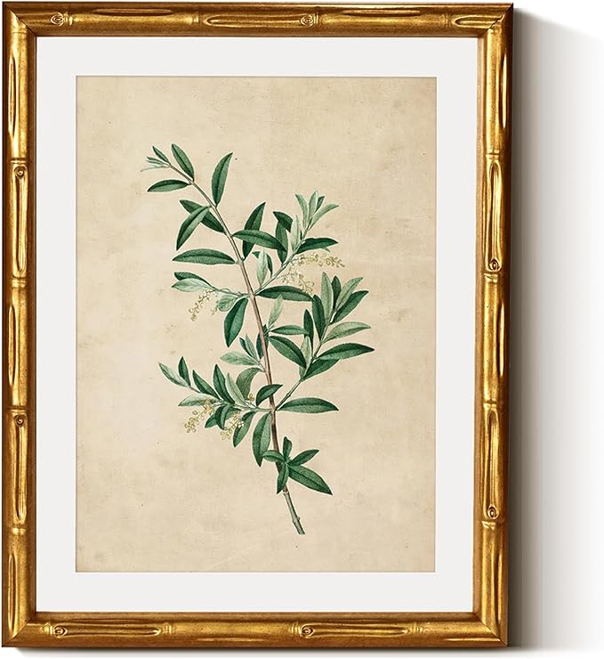 InSimSea Gold Bamboo Framed Canvas Wall Art, Vintage Olive Flower Botanical