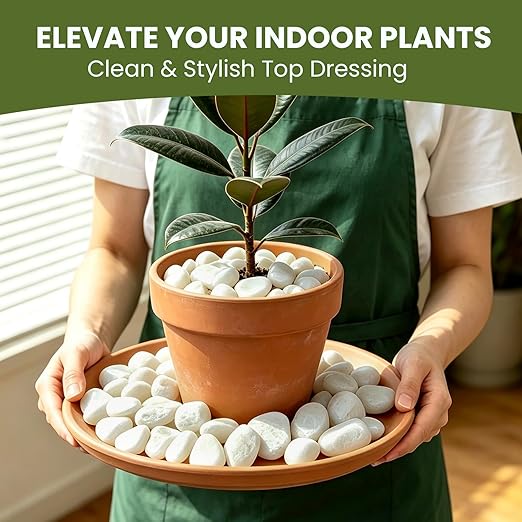 12 lbs White Rocks for Landscaping, 1-2 Inch Pebbles for Plants, Natural River Stones for Backyard, Flower Beds, Fish Tank, Vases, and Patio Decor