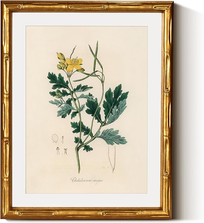 InSimSea Gold Bamboo Framed Canvas Wall Art, Kitchen Herbs Botanical Paintings