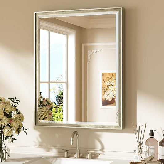 Keonjinn 24" x 30" Brushed Nickel Mirrors