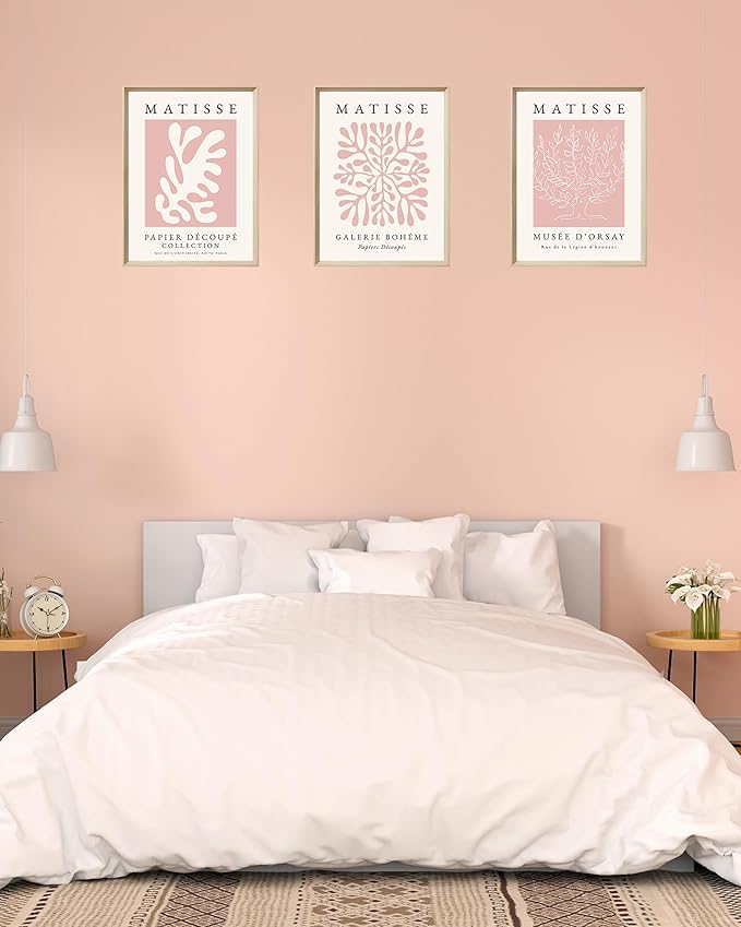 Framed Matisse Pink Canvas Wall Art, Abstract Matisse Canvas Wall Decor