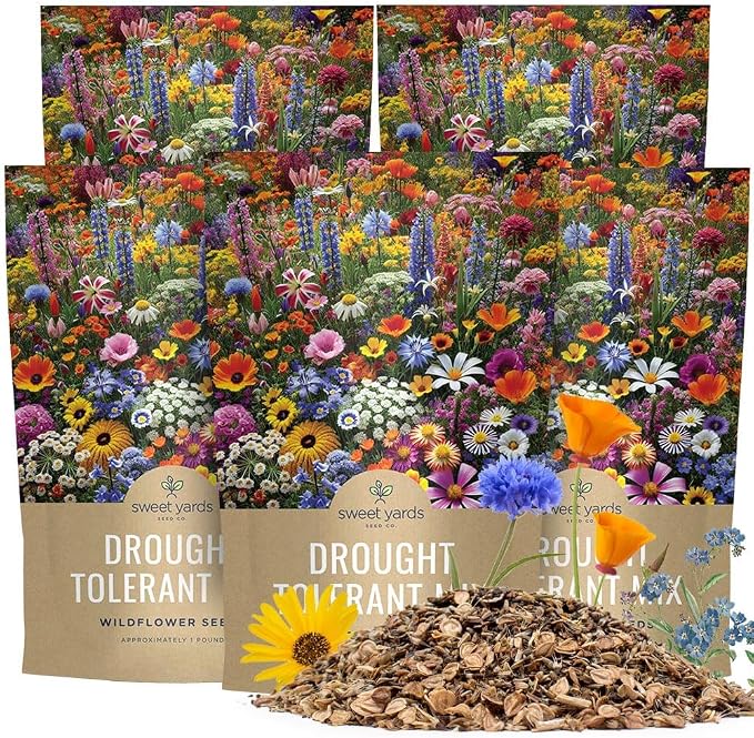 Drought Tolerant Wildflowers Mix â Bulk 5 Pounds â Over 600,000 Open Pollinated Non-GMO Seeds â 21 Different Dryland Species