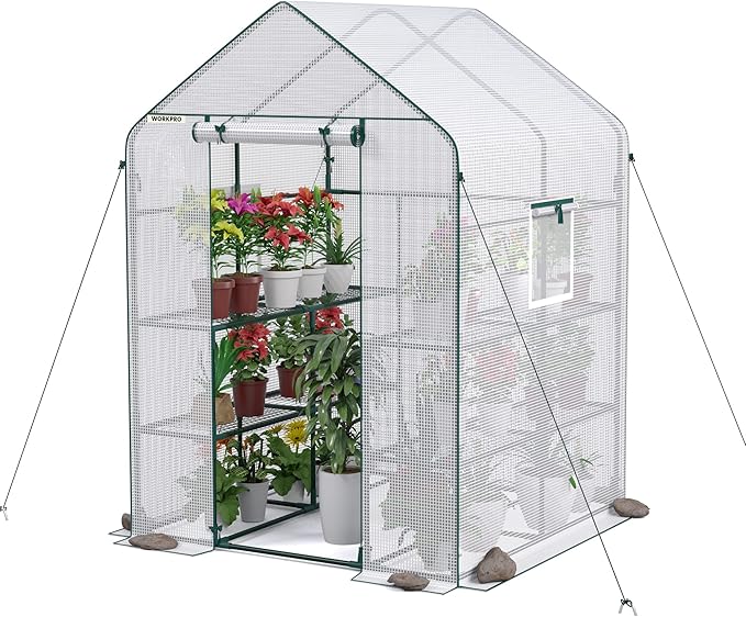 WORKPRO Greenhouse, 56â x 56â x 77â Heavy Duty Walk in Greenhouses for Outdoors with Screen Windows, Thicken PE Cover, 3 Tier 8 Shelves Portable Green House Kit for Patio, Backyard and Porch